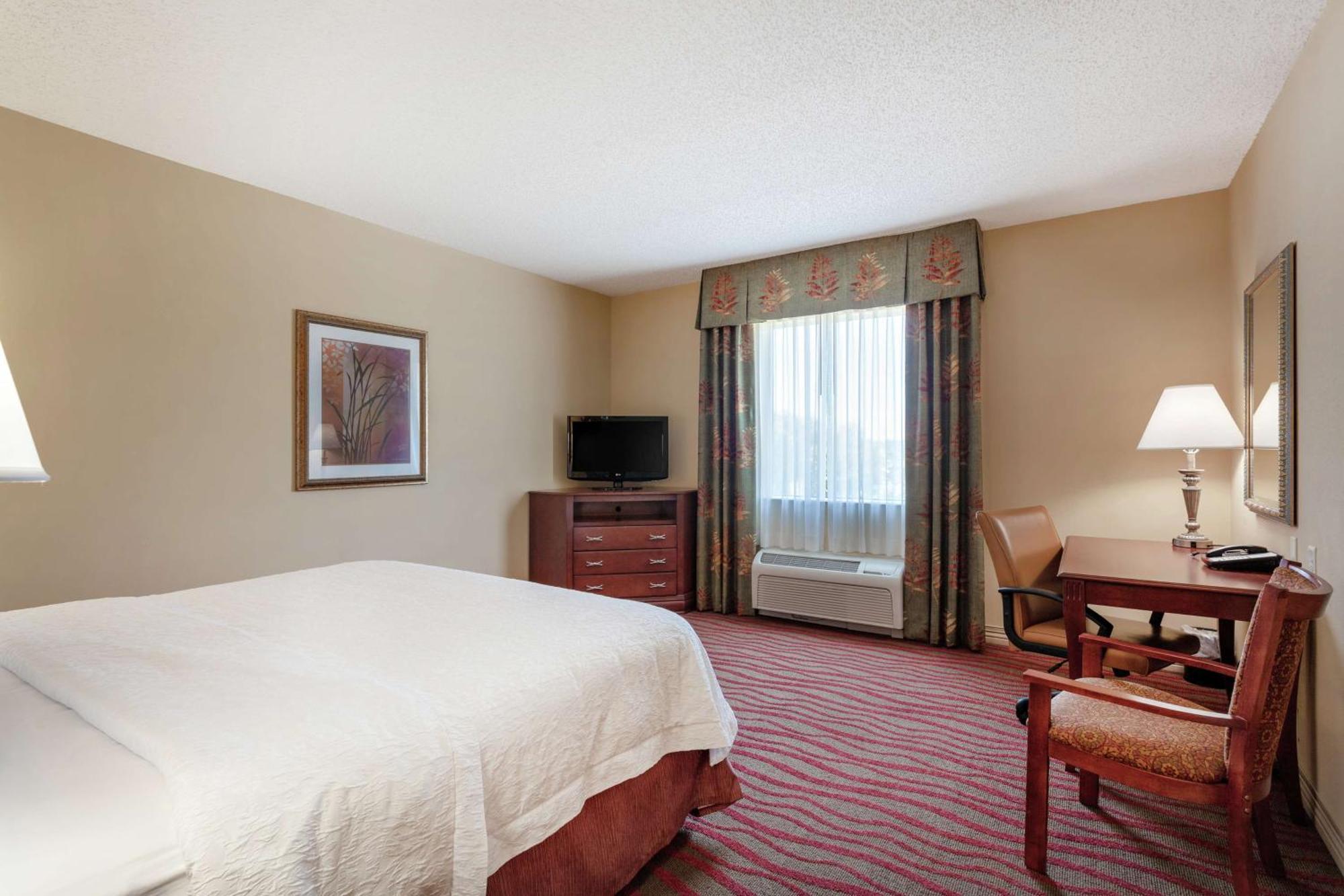 Hampton Inn & Suites Port Richey Ngoại thất bức ảnh